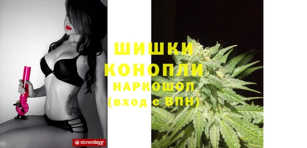 ГАЛЛЮЦИНОГЕННЫЕ ГРИБЫ Балабаново
