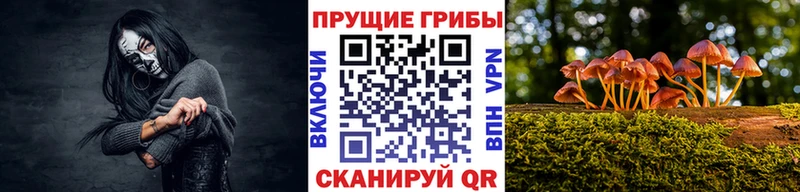 Псилоцибиновые грибы мухоморы  Магас 